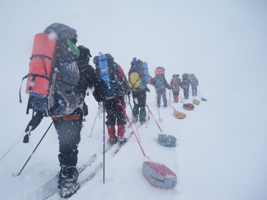 Сани-волокуши Век Саяны 56 л